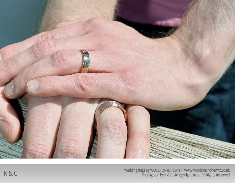 gay men's engagement rings